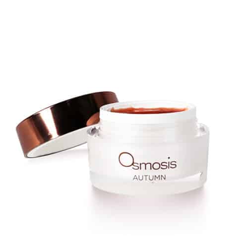 Osmosis Autumn Spice Enzyme Mask